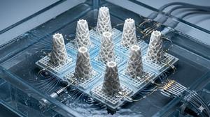 Dal riccio di mare ai sensori, materiale ceramico 3D‑stampato che “sente” l’acqua