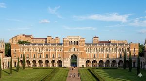 Micropozzetti 3D della Rice University per modelli di metastasi più realistici