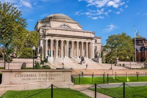 NOVAKnee entra nella fase preclinica, la Columbia University punta su un ginocchio biologico stampato in 3D