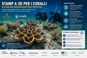 Alle Maldive la stampa 3D entra nel restauro dei reef Anantara Dhigu e rrreefs installano strutture in argilla per favorire la crescita dei coralli