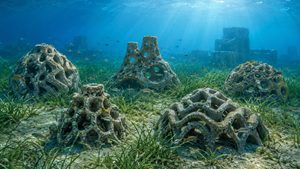 Reef artificiali stampati in 3D all’Argentario D-Shape porta la manifattura additiva sotto il mare