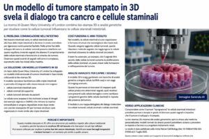 Dalla Rowan University un modello tumorale 3D per studiare il dialogo tra cancro e cellule staminali
