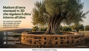 BUSTAN 178 mattoni di terra stampati in 3D costruiscono un habitat intorno a un ulivo vivo